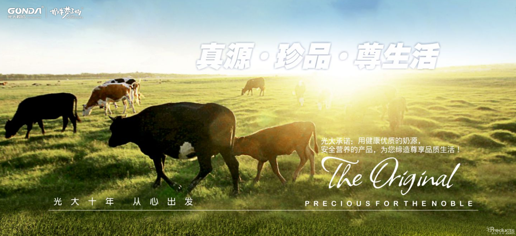科箭TMS云 光大乳业的用心之选