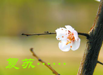 京东净利润达36亿元