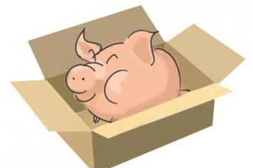 网购无所不能吗？