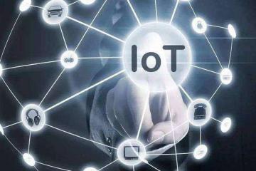 县域提质样本：武陟三年幸福蝶变