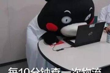 当剁手党遇上双十一，听快递小哥如何评价？