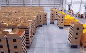 加拿大实施“复工法案”备战“双十一”