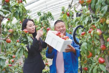 电商扶贫，一根网线连两头（消费视窗）