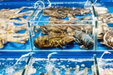对国内生鲜超市发展现状的观察和思考