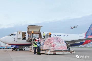 透析：政策红利、市场激增，航空物流接下来怎么走？