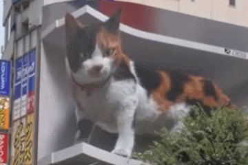 东京街头突现3D巨型猫咪！