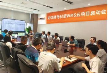 WMS云助力安琪酵母仓库管理体系全面升级