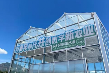 拼多多公开的隐秘：“重投农业”