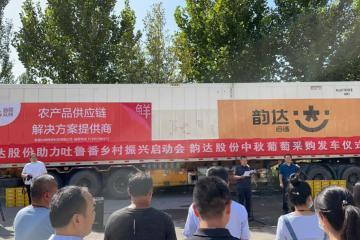 韵达冷链“亮剑”，助500吨吐鲁番葡萄出疆