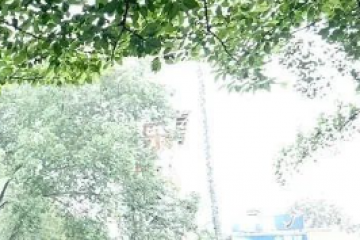 被智能时代遗忘，一群老人的“AI求生记”