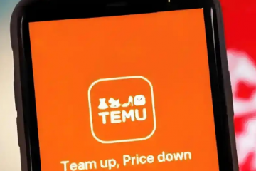 从拼多多财报看Temu的跨境增长潜力