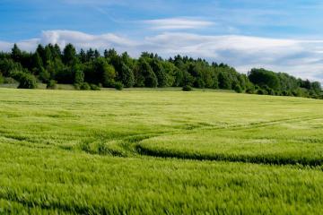 【原创】假日物流的三大要点